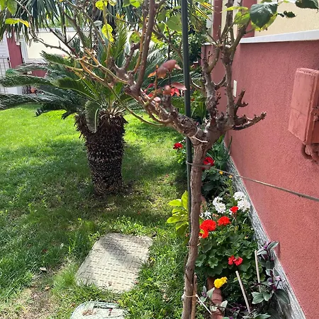 Apartament Stella Maris Rogoznica (Sibenik-Knin)