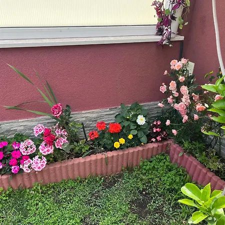 Lägenhet Stella Maris