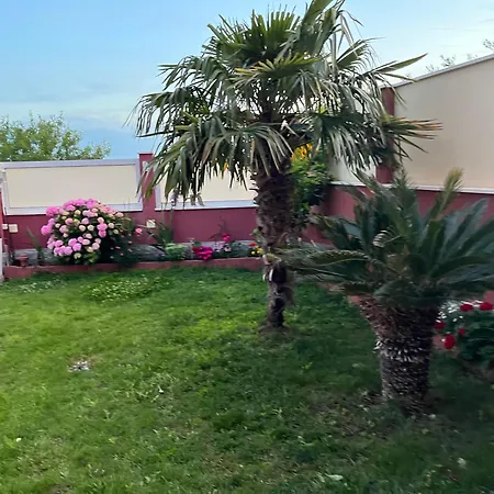 Stella Maris Apartament