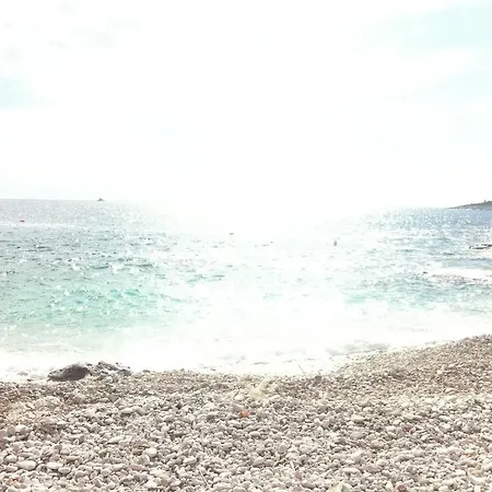 Stella Maris