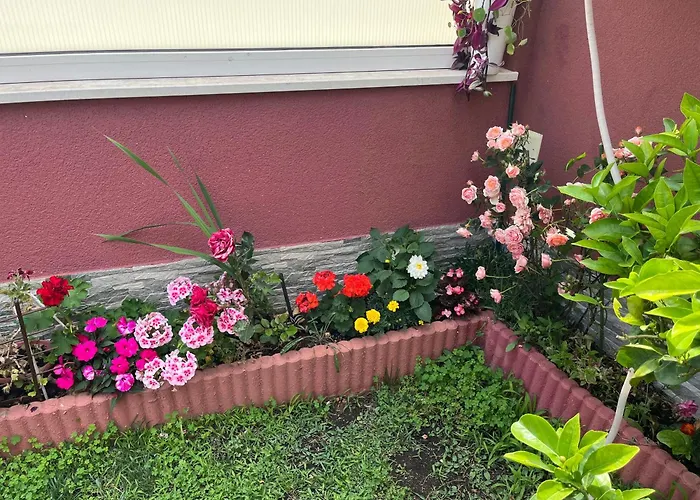 Apartamento Stella Maris