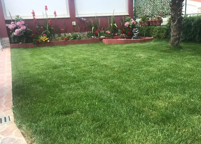 Stella Maris * 로고즈니차